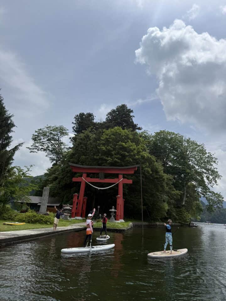 IMG 0239