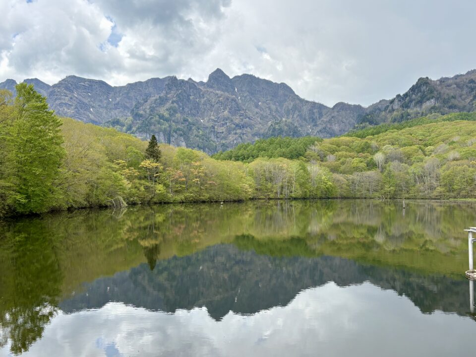 IMG 0499