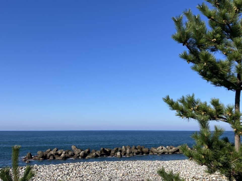 IMG 9797